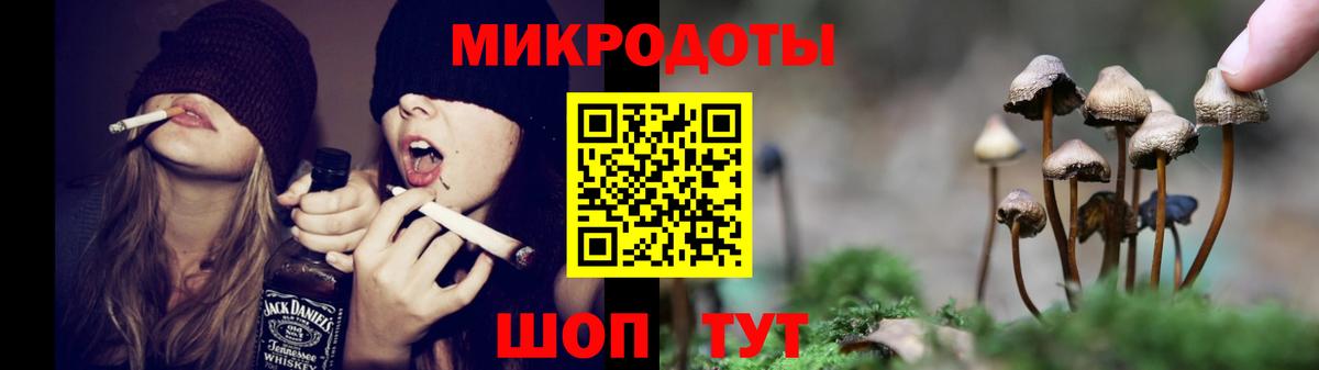 Галлюциногенные грибы Cubensis  Вход с VPN  Светлоград 